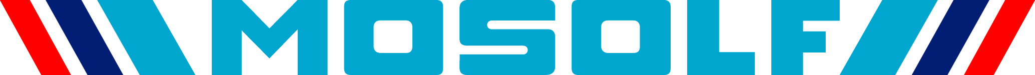 MOSOLF Logistics Services GmbH